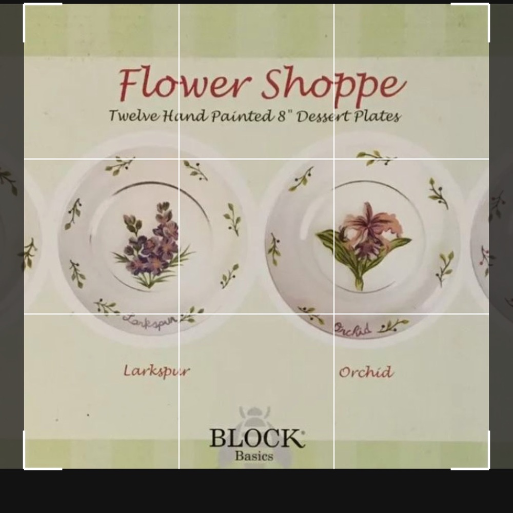 Hand-Painted Floral Dessert Plates